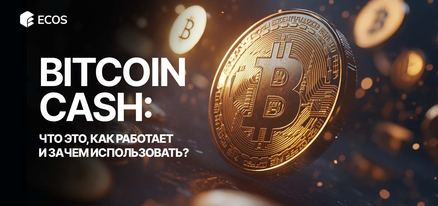 Bitcoin Cash (BCH): подробный обзор, преимущества и примеры использования